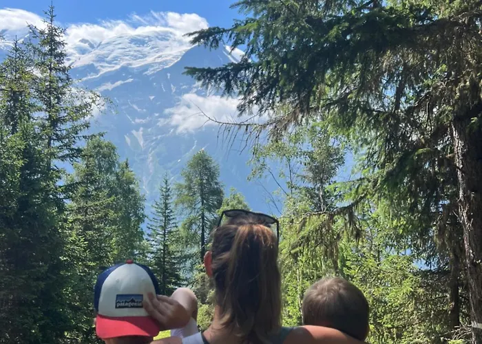 Refuge Du Lyret Cozy Chamonix, Garden, Pkg Apartment Chamonix