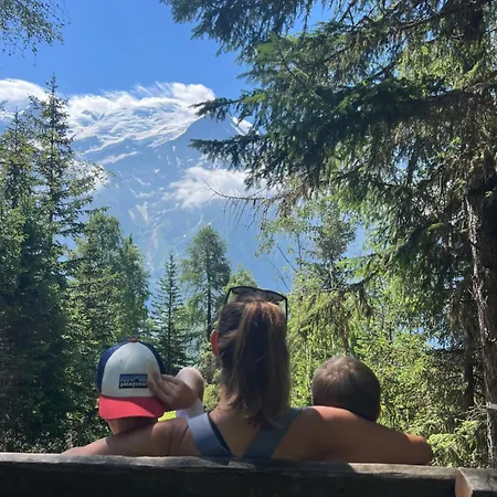 Refuge Du Lyret Cozy Chamonix, Garden, Pkg 公寓 霞慕尼