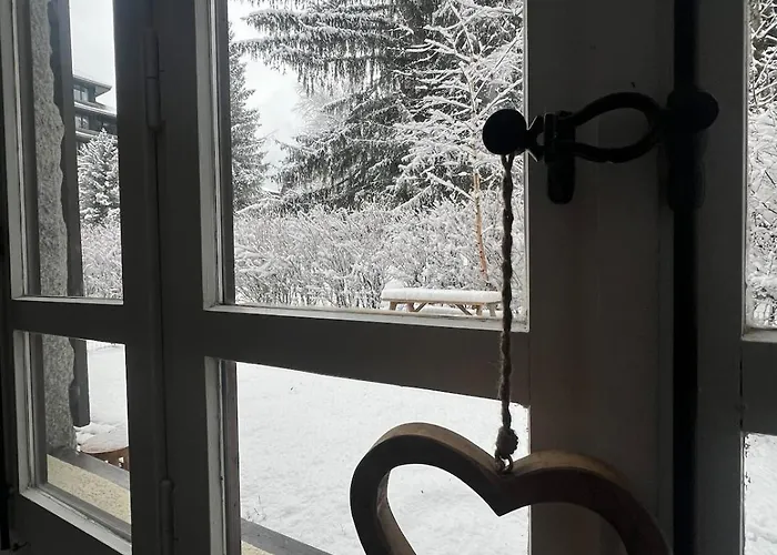 公寓 Refuge Du Lyret Cozy Chamonix, Garden, Pkg *